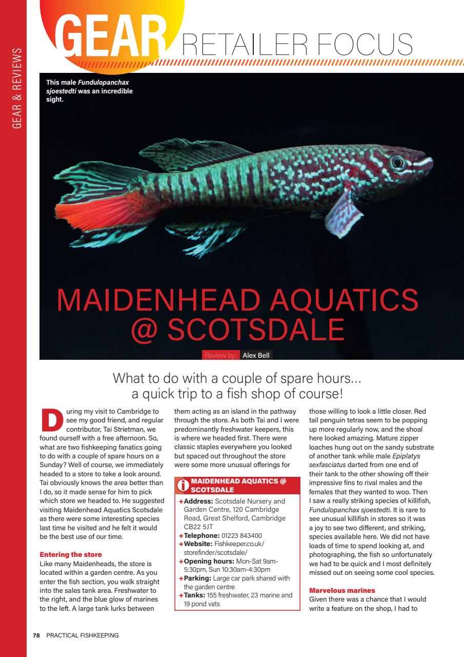 Practical Fishkeeping Preview Pages