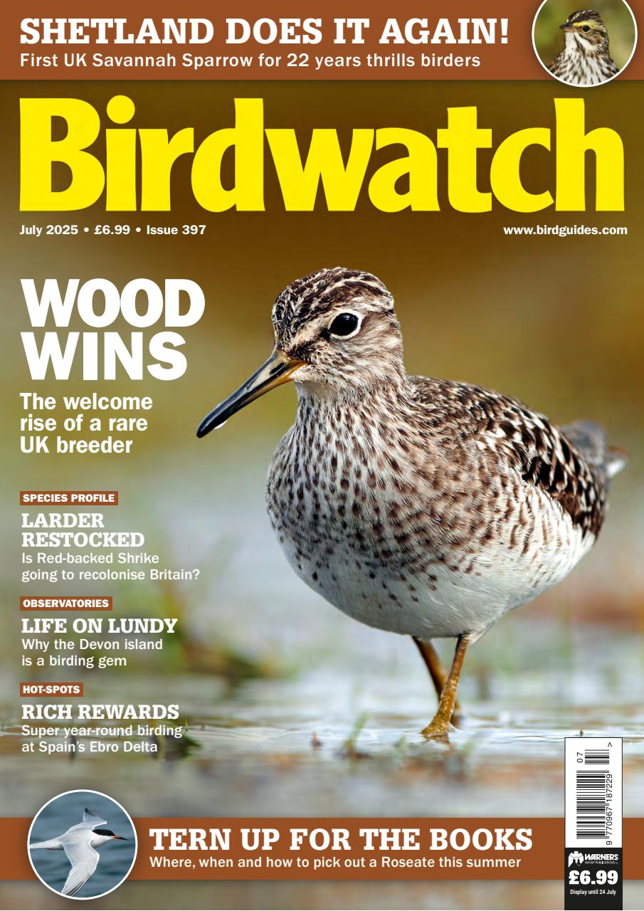 Birdwatch Magazine Preview Pages
