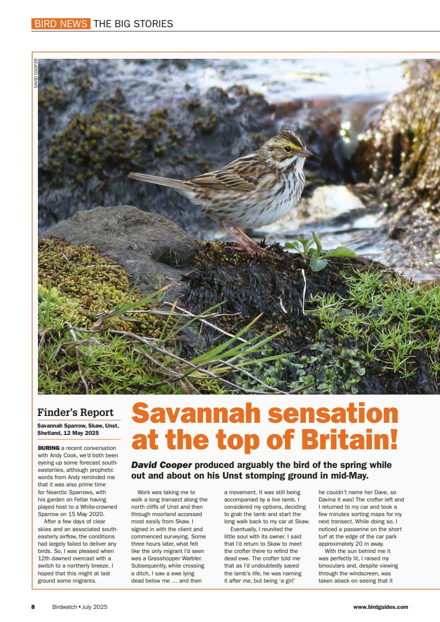 Birdwatch Magazine Preview Pages