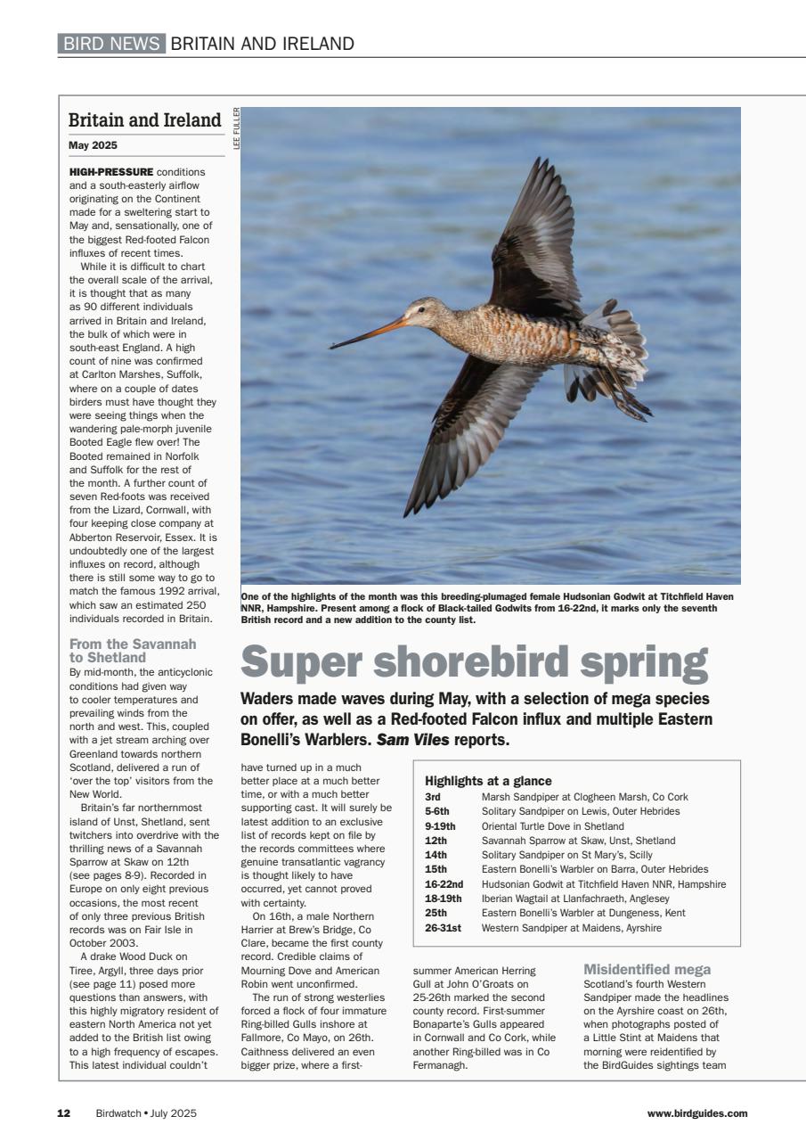 Birdwatch Magazine Preview Pages