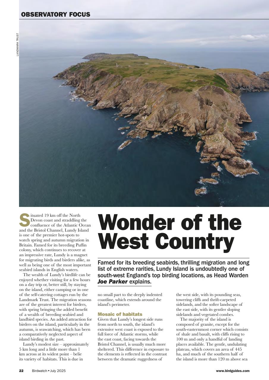 Birdwatch Magazine Preview Pages