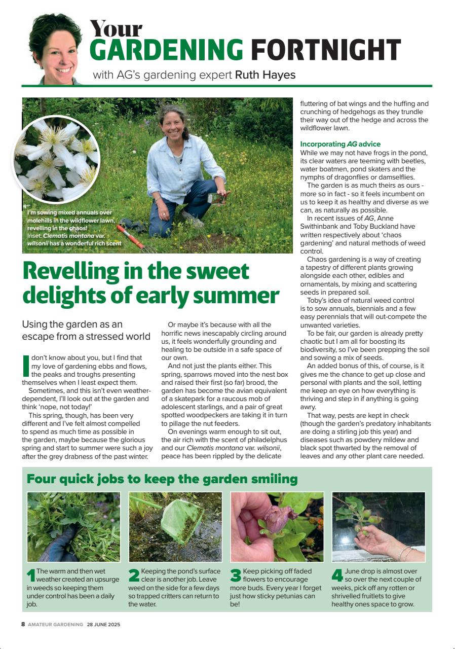 Amateur Gardening Preview Pages