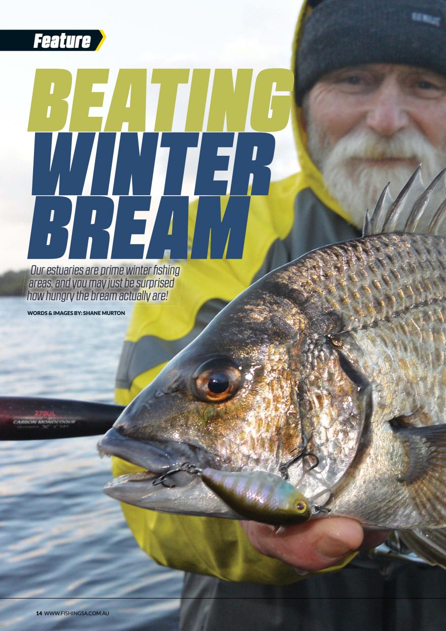 Fishing SA Preview Pages