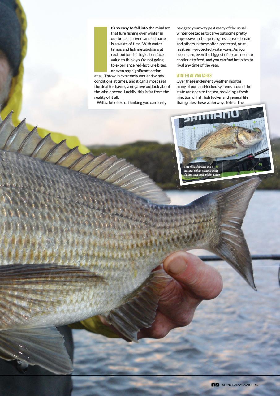 Fishing SA Preview Pages