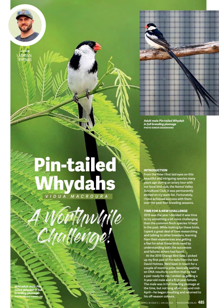 Australian Birdkeeper Magazine Preview Pages