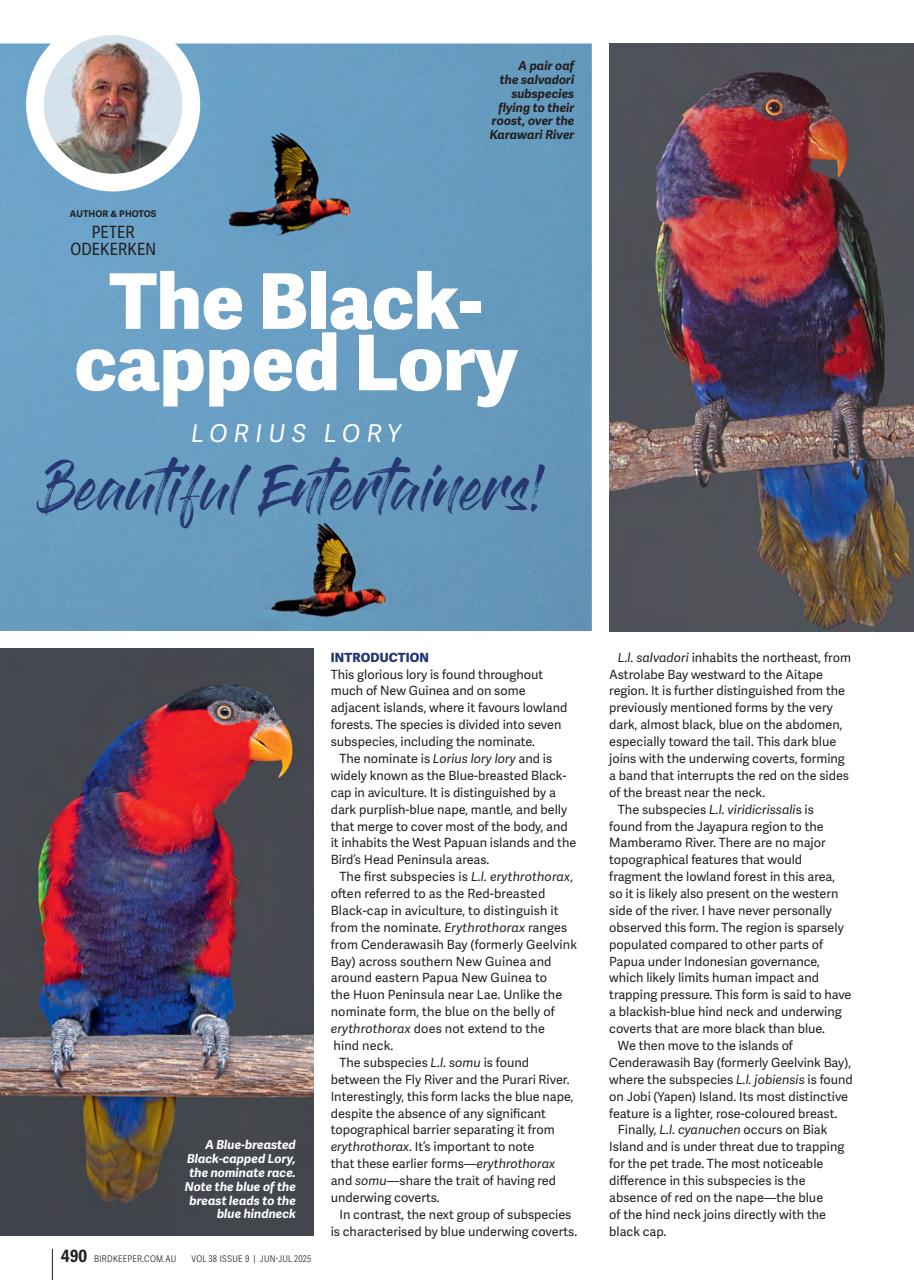 Australian Birdkeeper Magazine Preview Pages