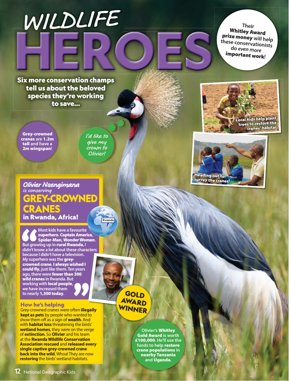 National Geographic Kids Preview Pages