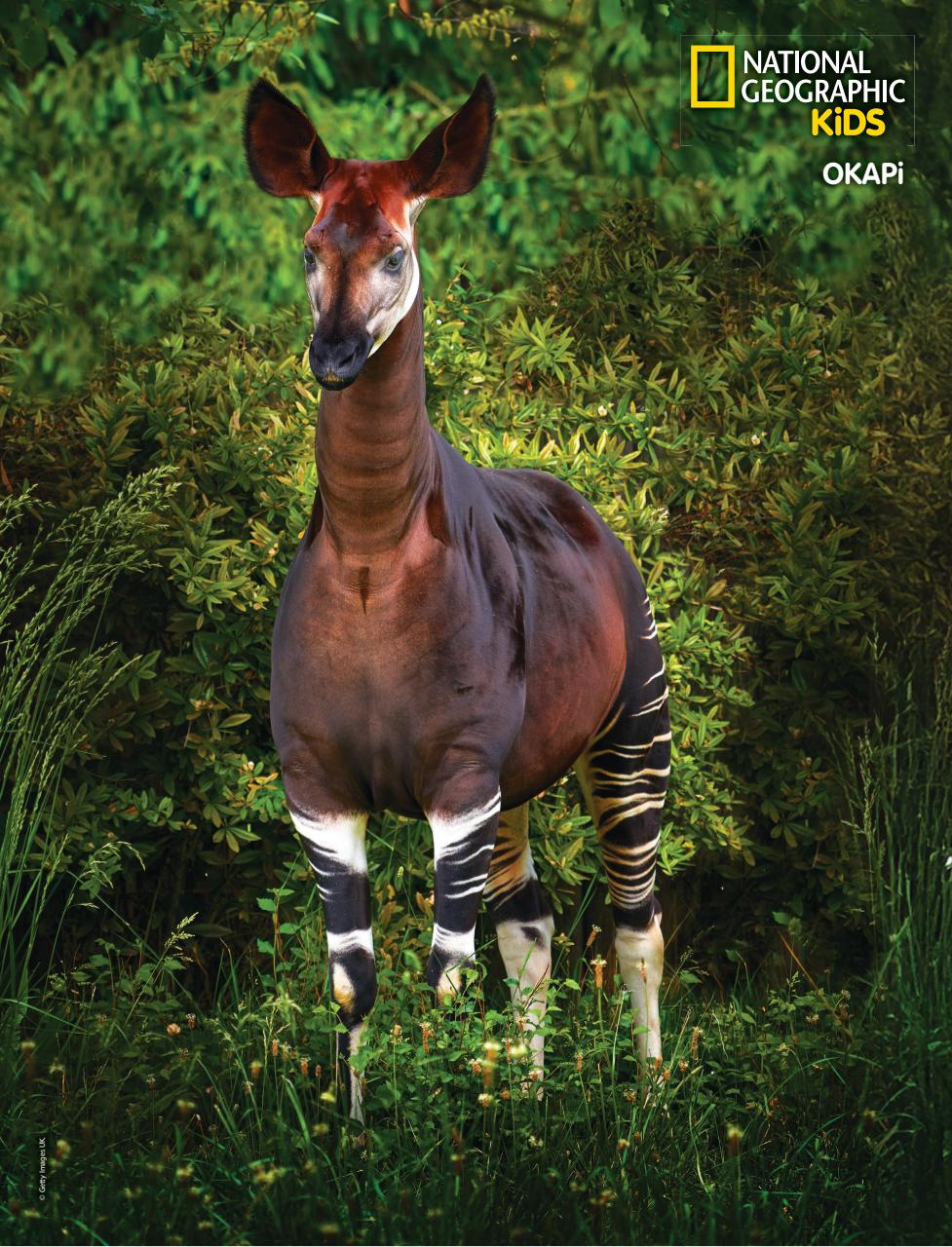 National Geographic Kids Preview Pages