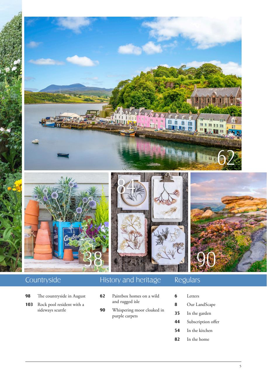 LandScape Preview Pages