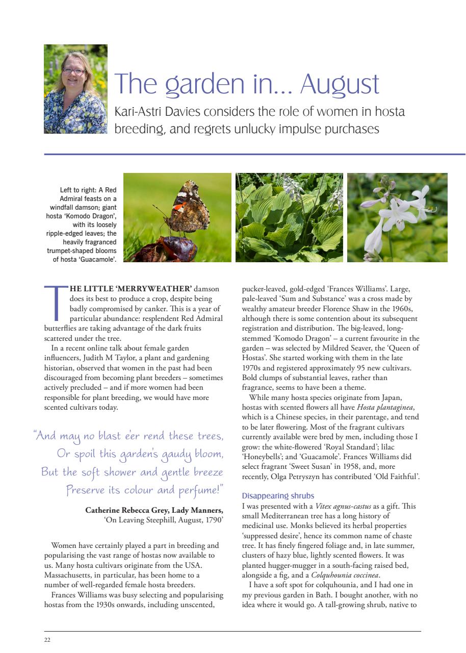 LandScape Preview Pages