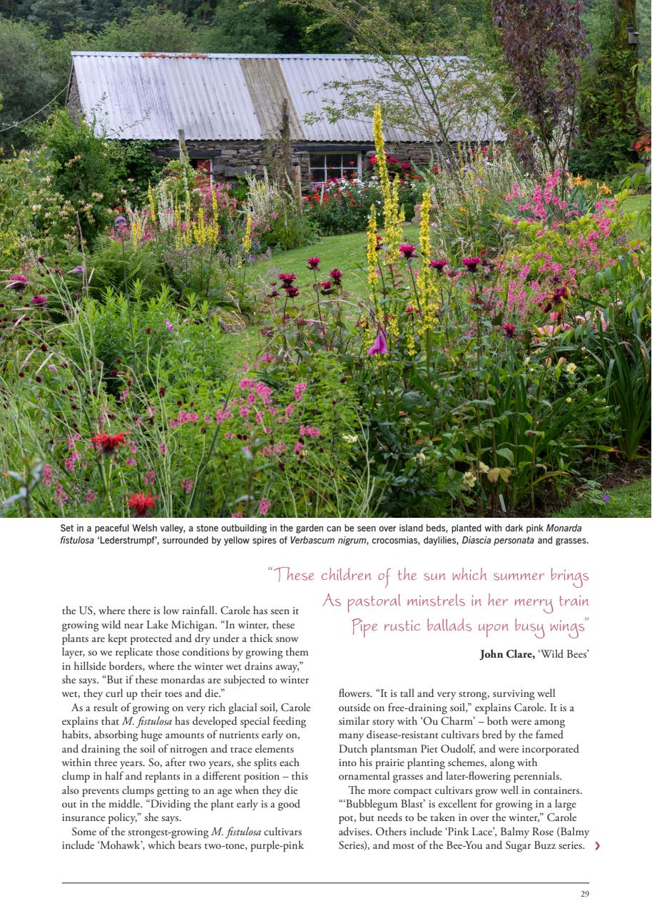 LandScape Preview Pages