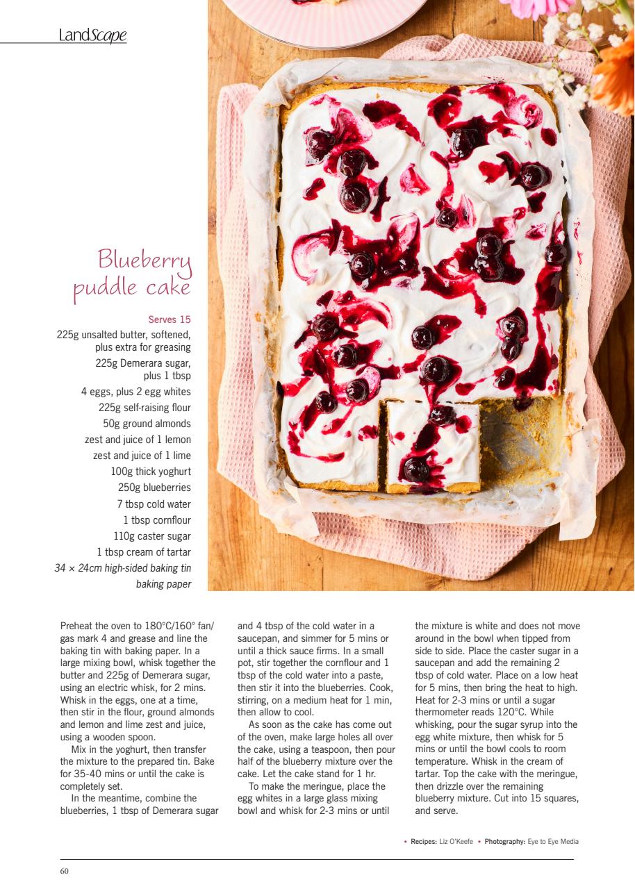 LandScape Preview Pages