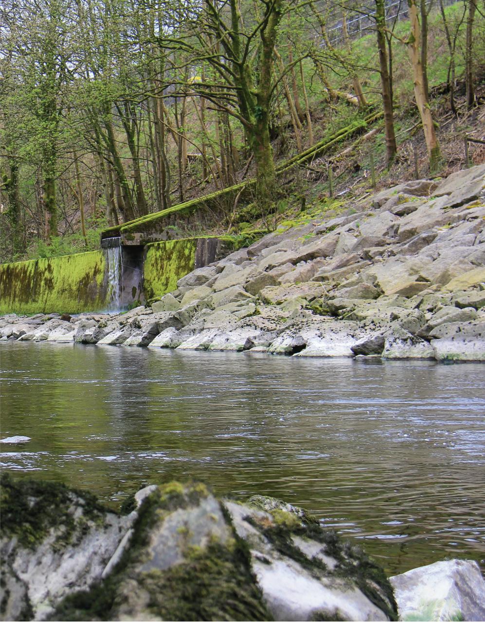 Trout & Salmon Preview Pages