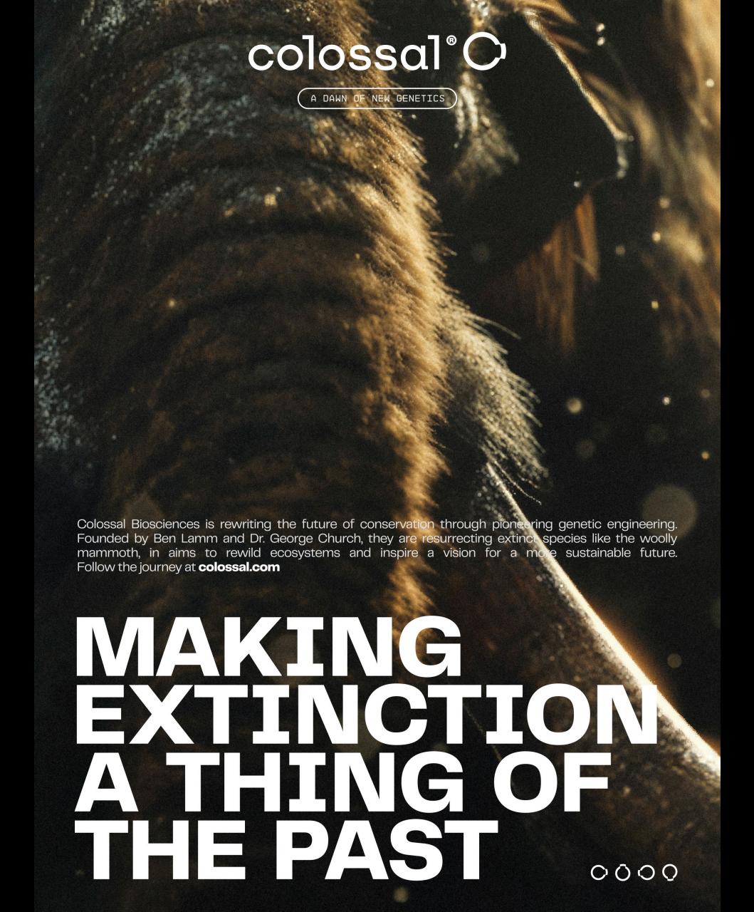 Playboy Preview Pages