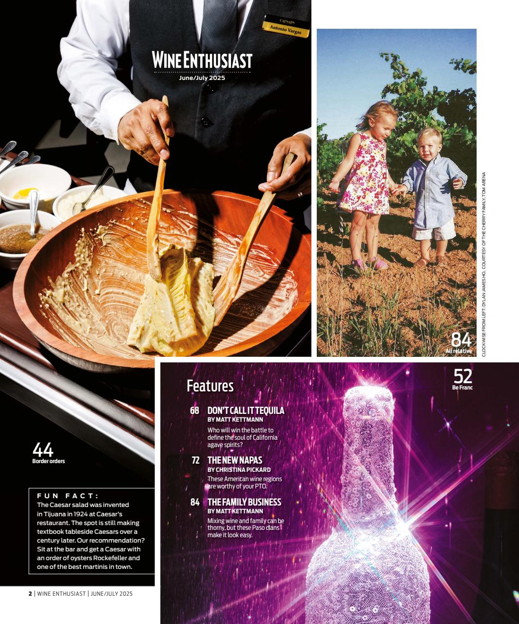 Wine Enthusiast Preview Pages