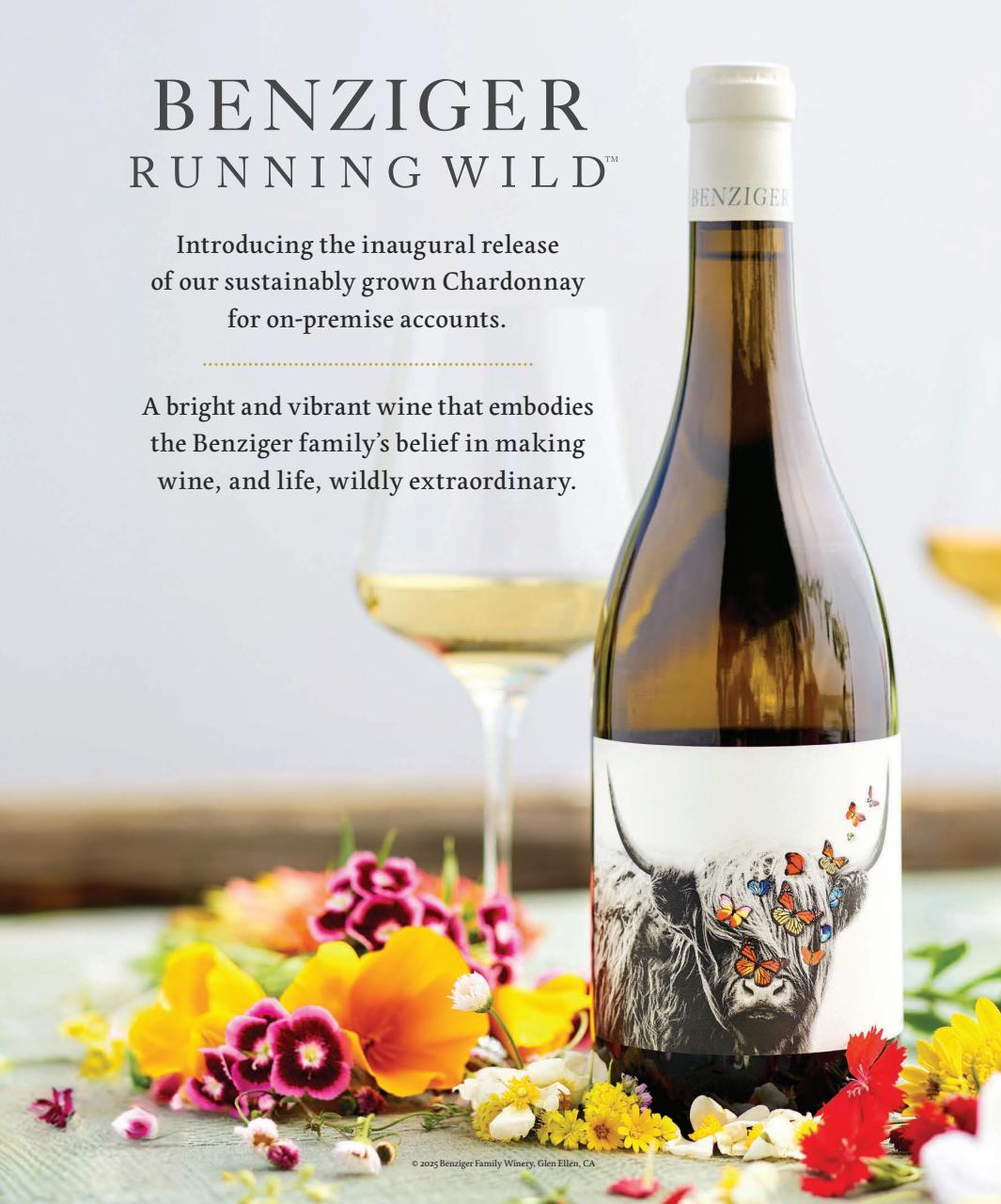 Wine Enthusiast Preview Pages