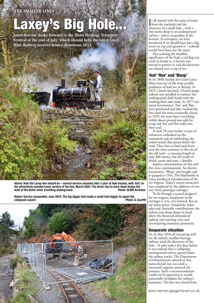 Narrow Gauge World Preview Pages