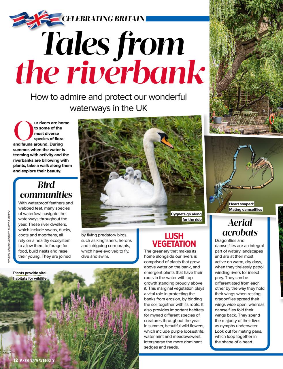 Woman's Weekly Preview Pages