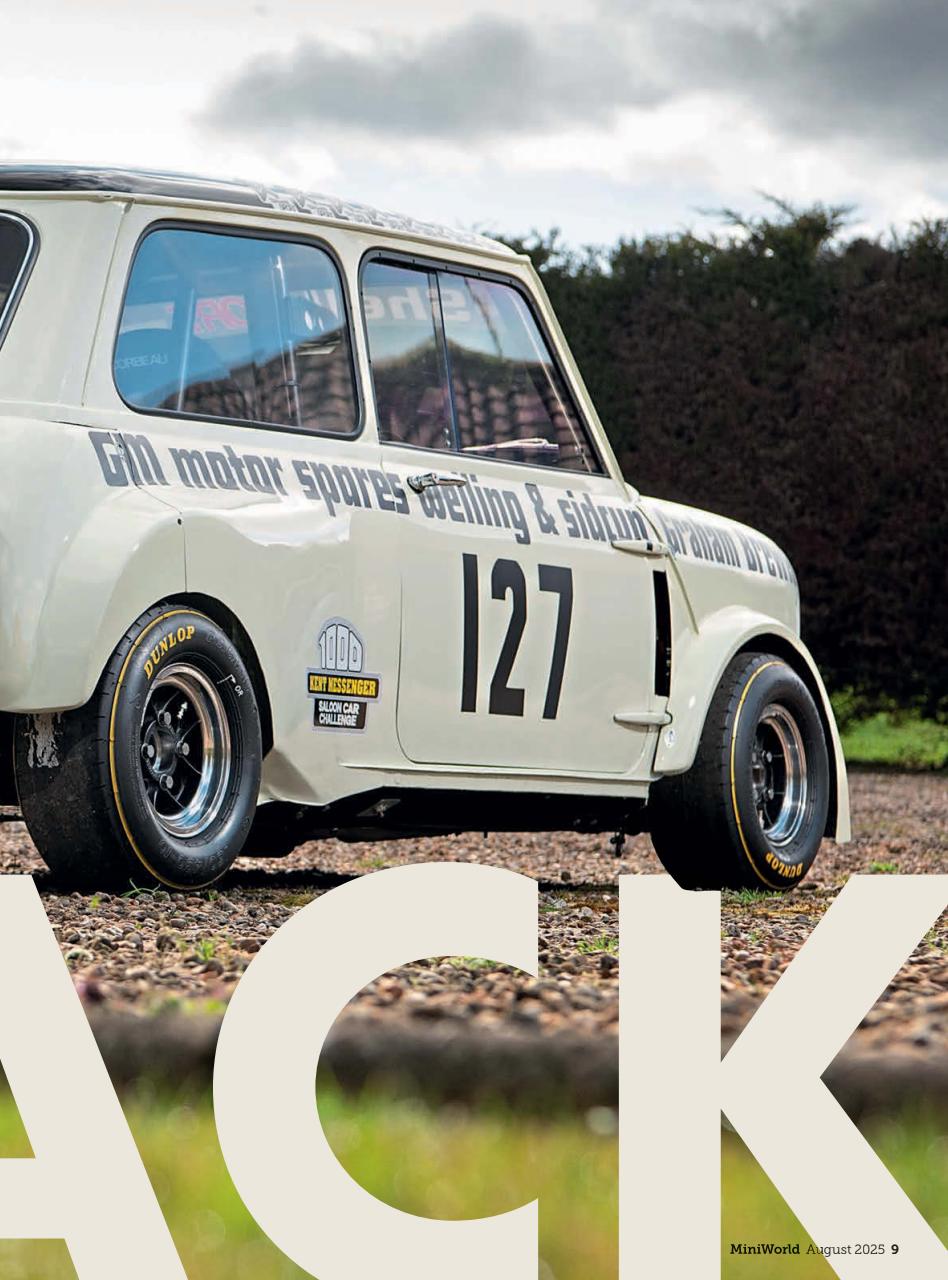 Mini World Preview Pages