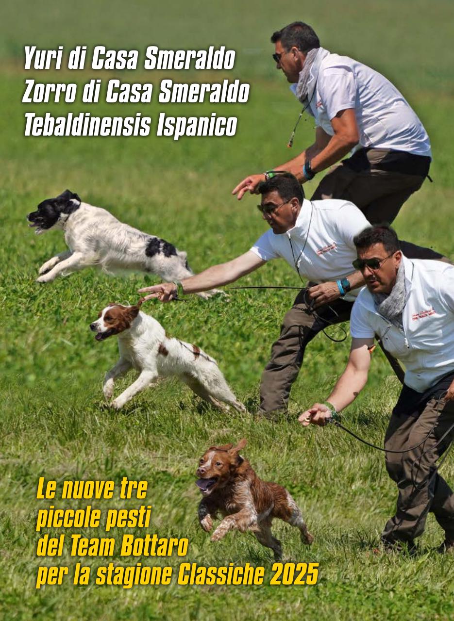 La Gazzetta Della Cinofilia Venatoria Preview Pages