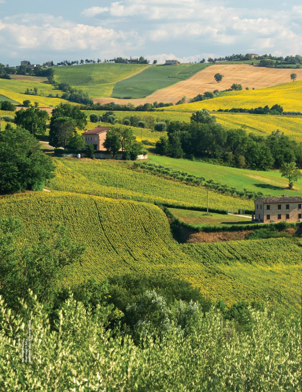 Italia! Preview Pages