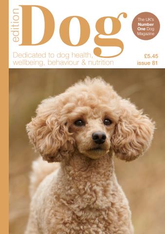 Edition Dog issue Edition Dog 81