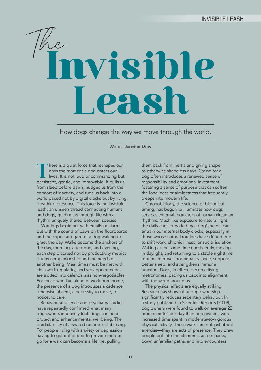 Edition Dog Preview Pages