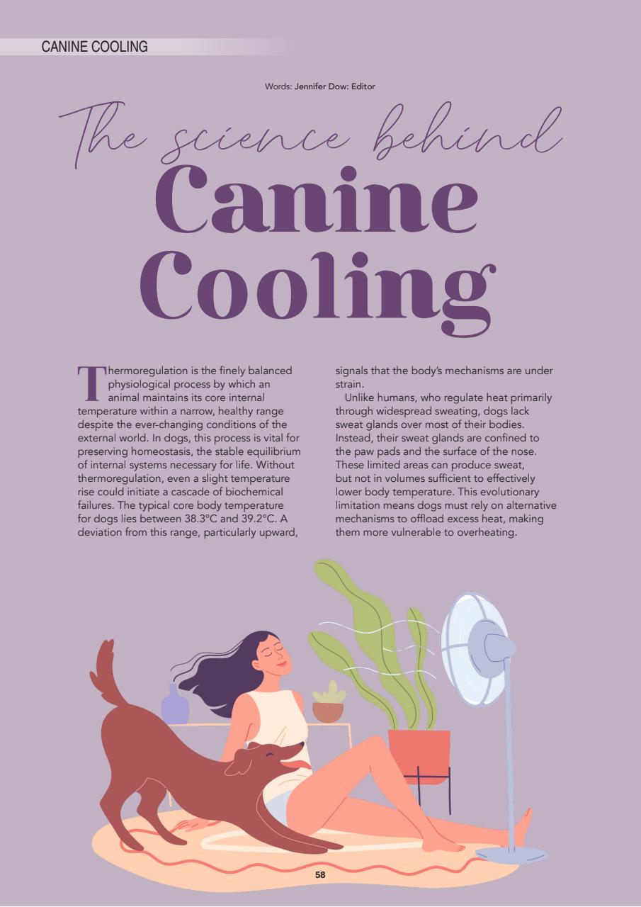 Edition Dog Preview Pages