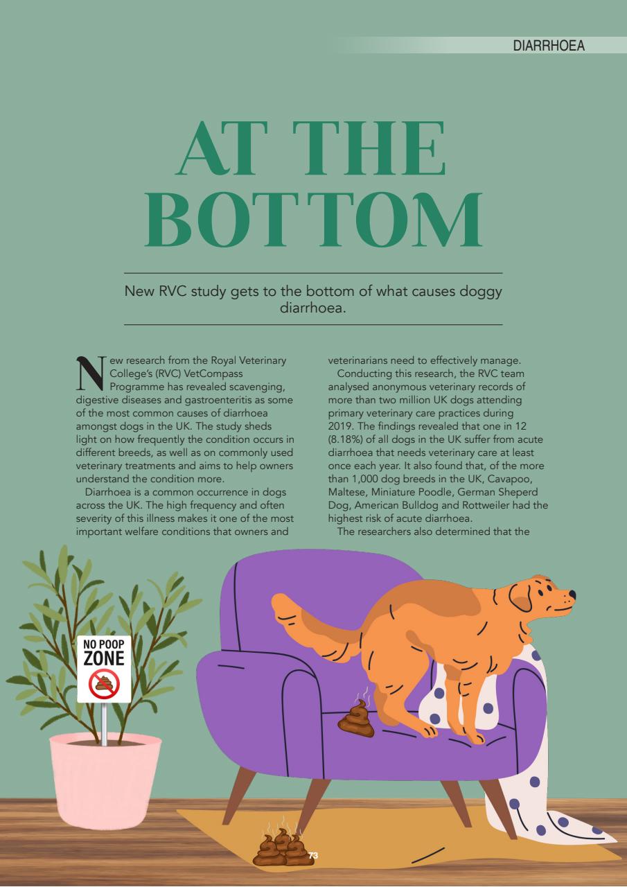 Edition Dog Preview Pages