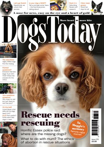 Dogs Today Magazine issue Issue 370