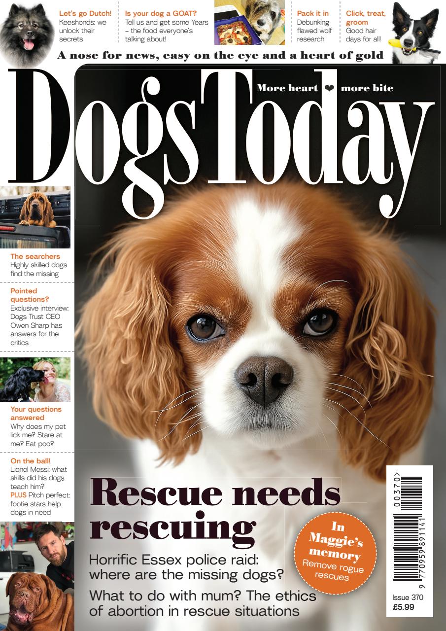Dogs Today Magazine Preview Pages