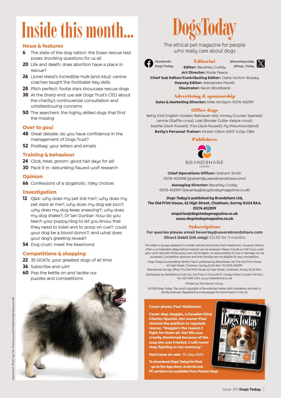 Dogs Today Magazine Preview Pages