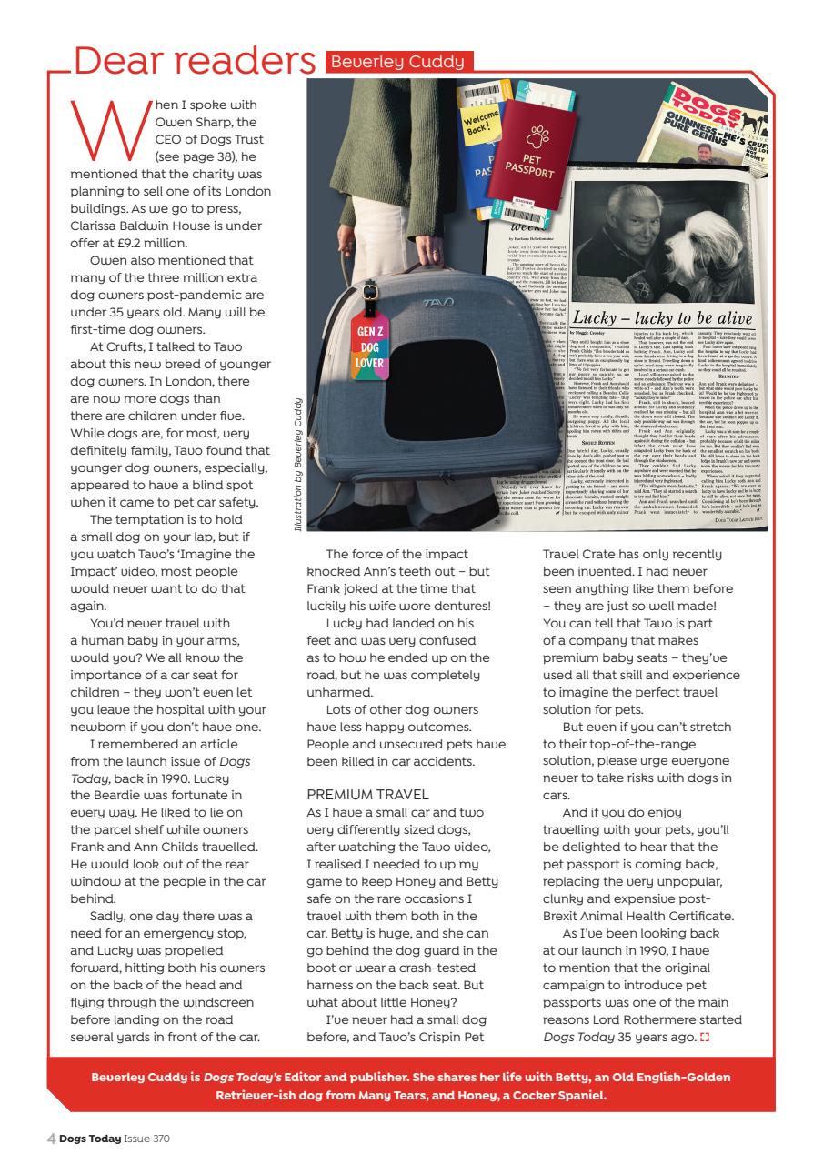 Dogs Today Magazine Preview Pages