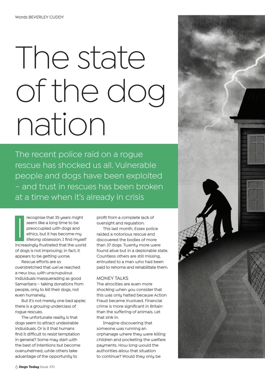 Dogs Today Magazine Preview Pages