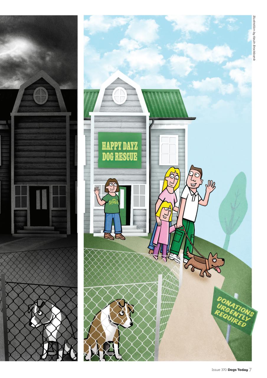 Dogs Today Magazine Preview Pages