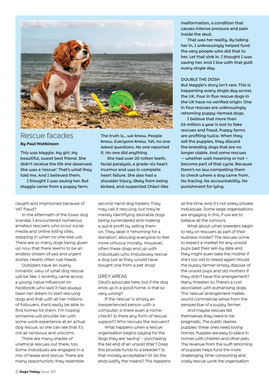 Dogs Today Magazine Preview Pages