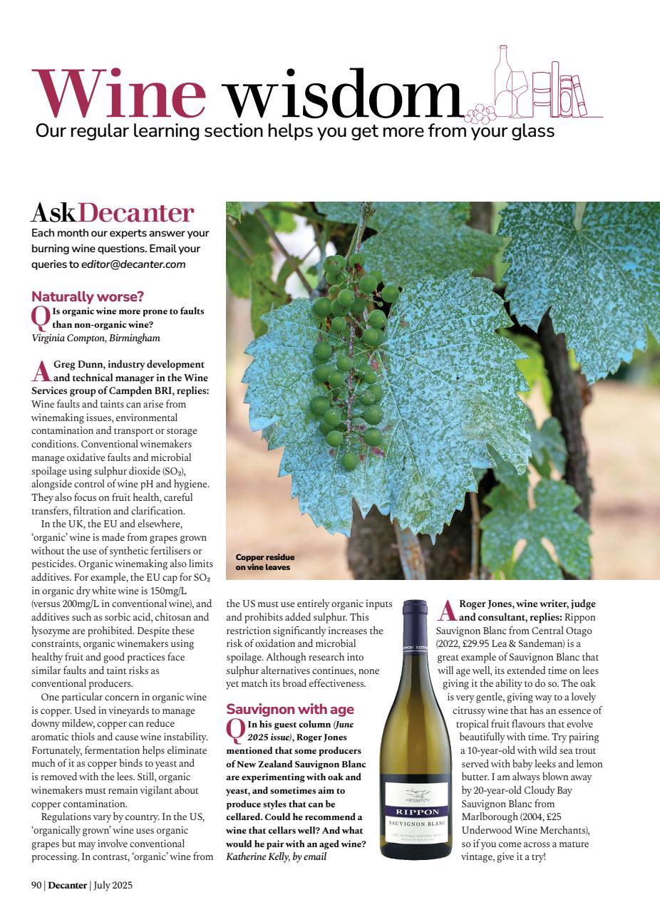 Decanter Preview Pages