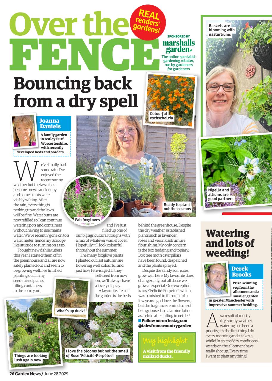 Garden News Preview Pages