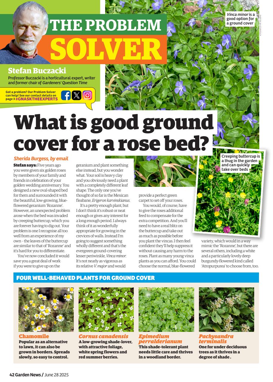 Garden News Preview Pages