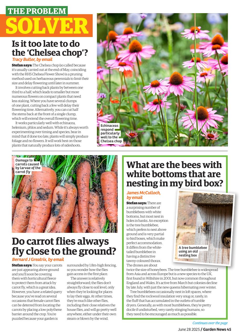 Garden News Preview Pages