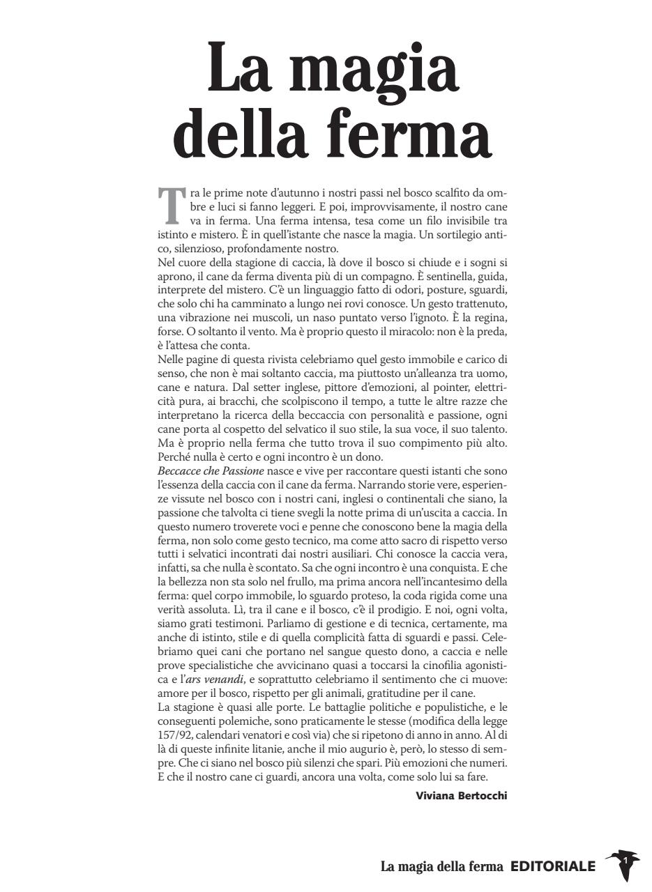 BECCACCE CHE PASSIONE Preview Pages