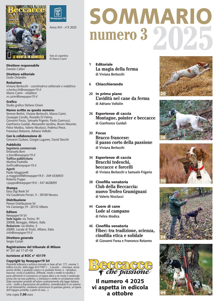 BECCACCE CHE PASSIONE Preview Pages