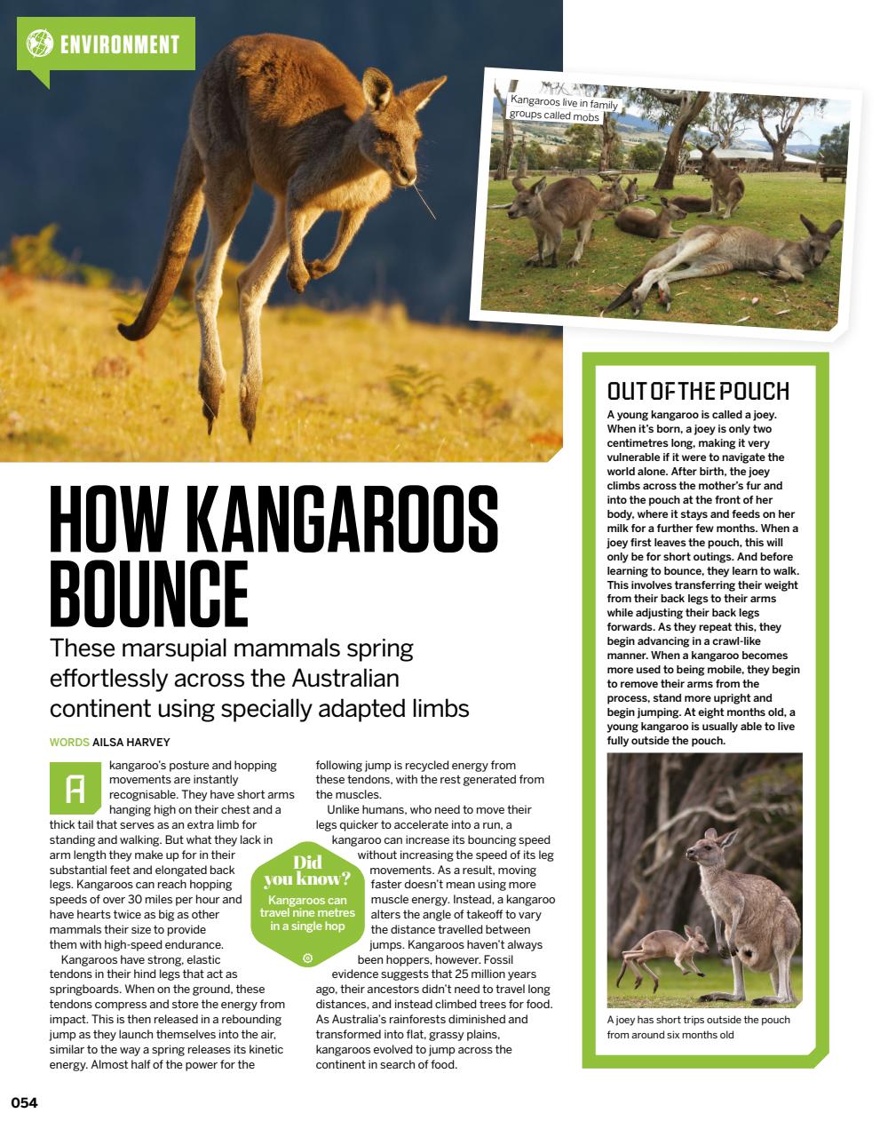 How It Works Bookazine Preview Pages