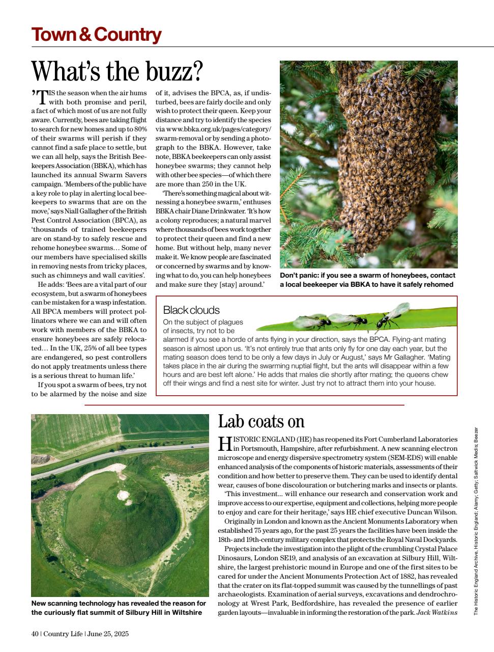 Country Life Preview Pages