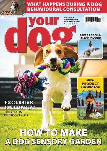 Your Dog issue 