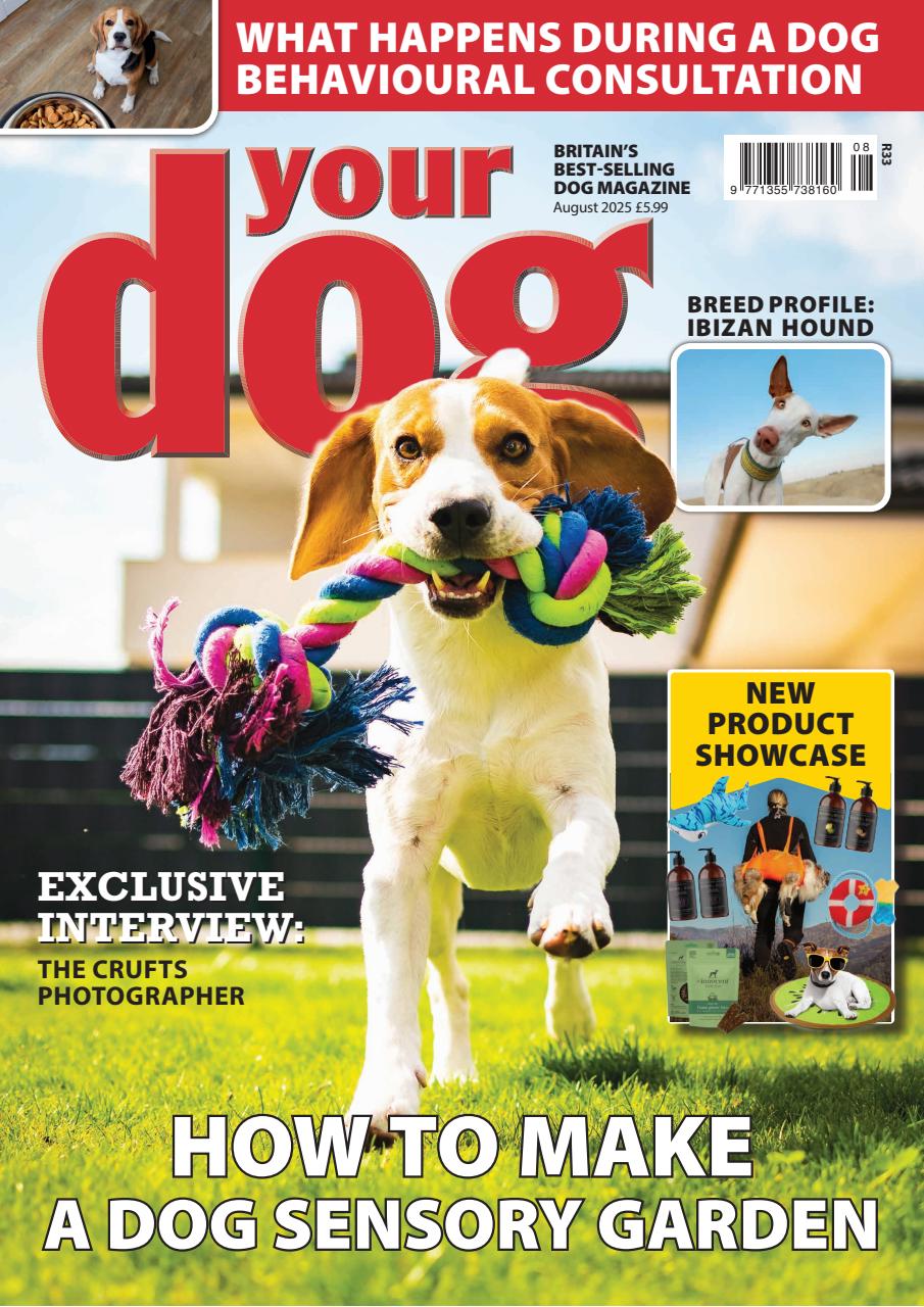 Your Dog Preview Pages