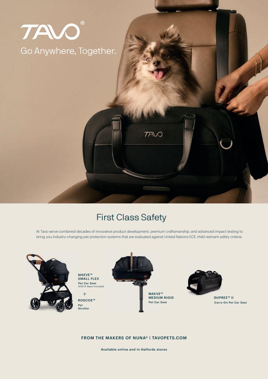 Your Dog Preview Pages