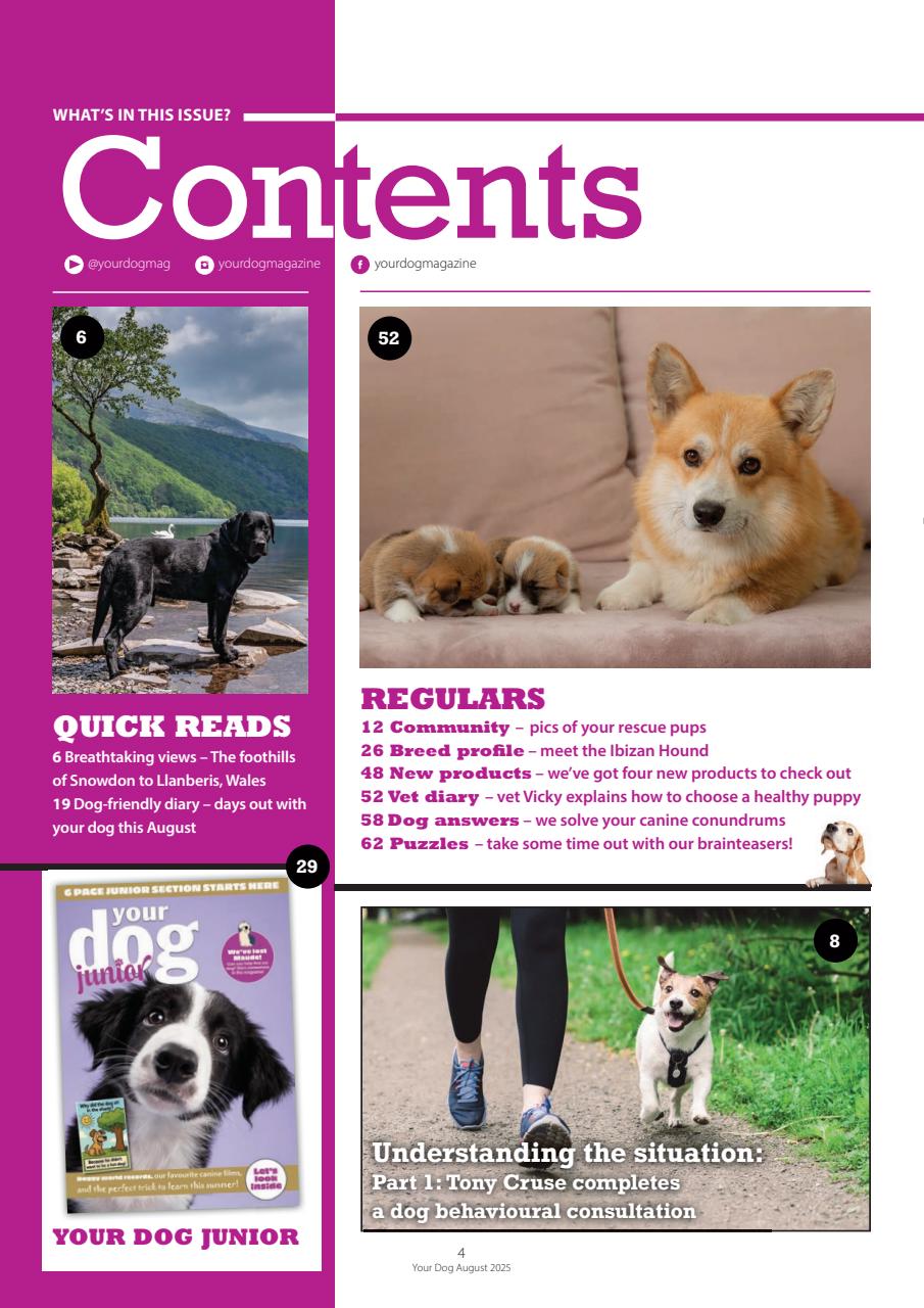Your Dog Preview Pages