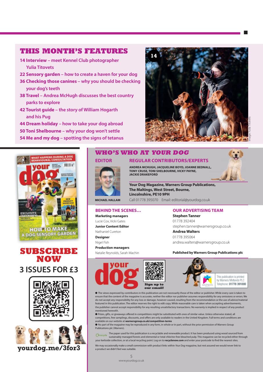 Your Dog Preview Pages