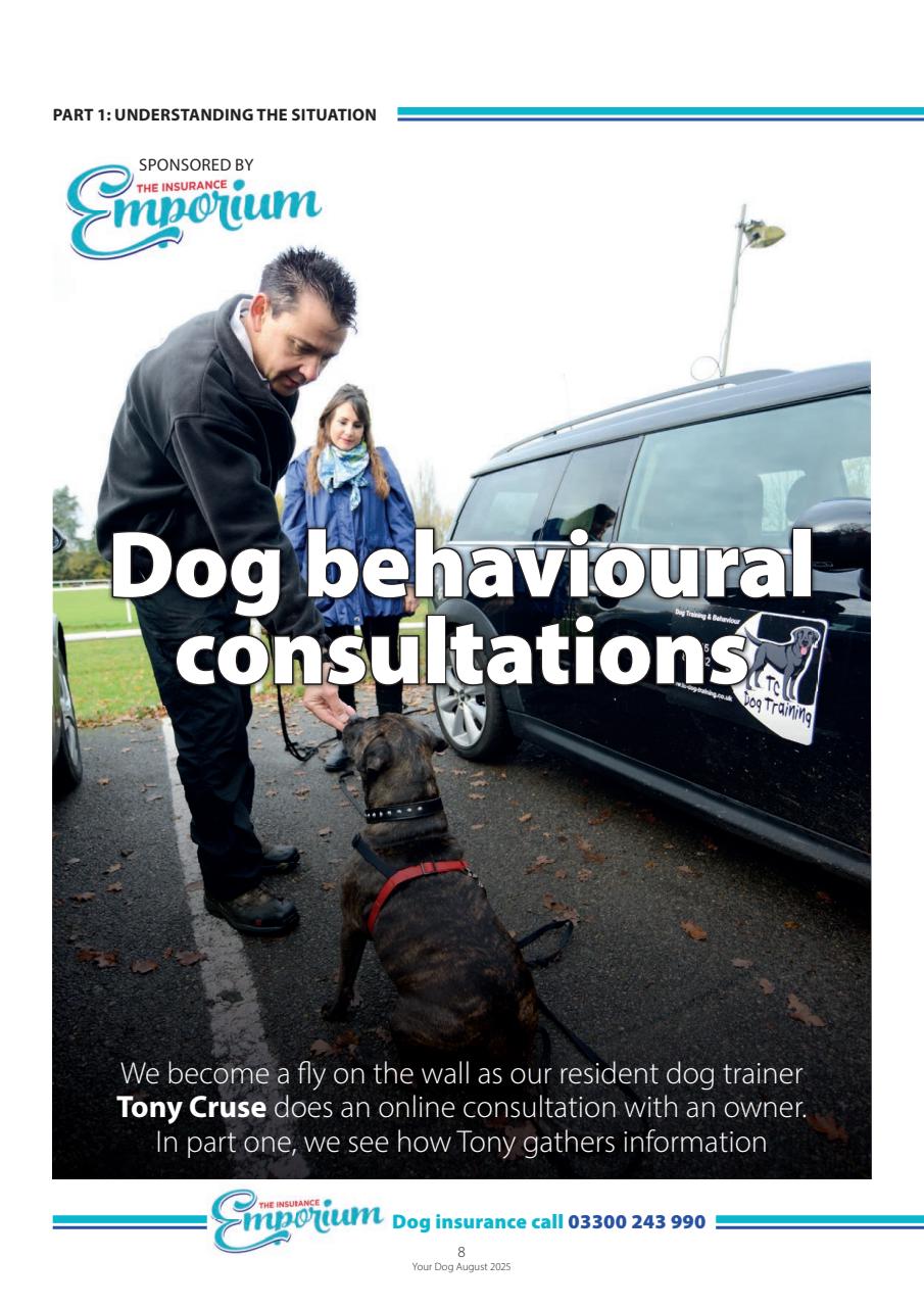 Your Dog Preview Pages